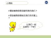 7茅草与锯子课件PPT