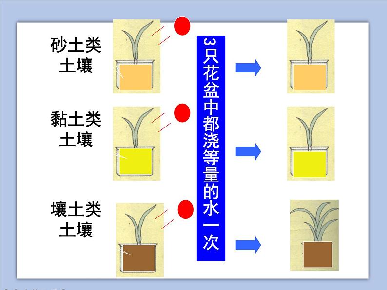 《1.认识土壤》课件07