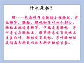 《2.种子发芽》课件(3)