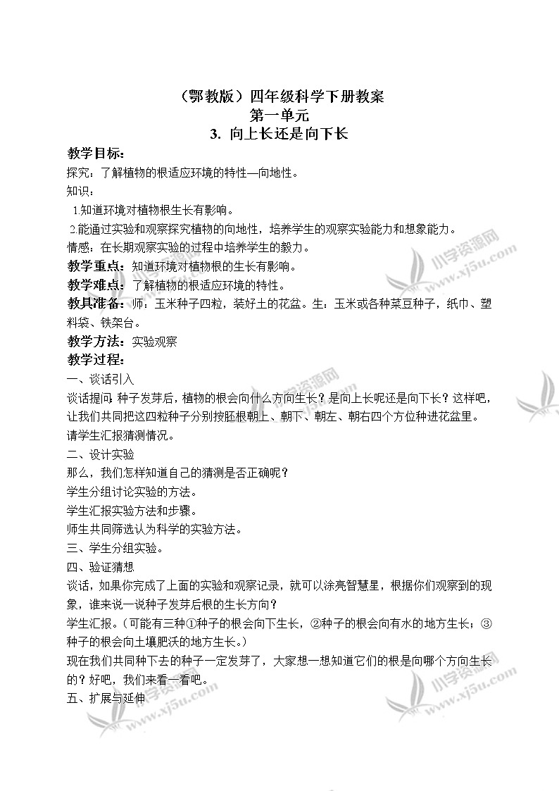 《3.向上长还是向下长》教案(2)01