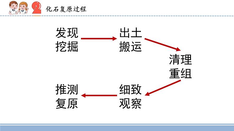 2021-2022学年科学六年级上册8.消失的恐龙课件（苏教版）第3页