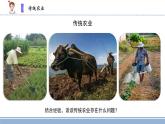 2021-2022学年科学六年级上册16.人造肥料与现代农业课件（苏教版）