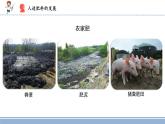 2021-2022学年科学六年级上册16.人造肥料与现代农业课件（苏教版）