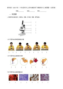 6教科版（2017秋）六年级科学上册双减政策下专项摸底练习之填图题（含答案）