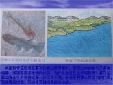 2.5 地表的变迁（8）（课件）科学六年级上册-苏教版