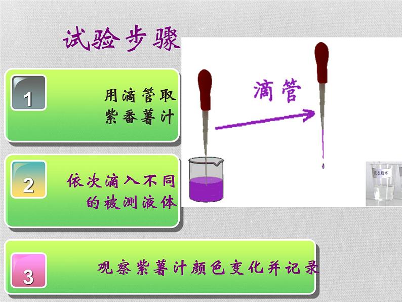 3.3 变色花（7）（课件）科学六年级上册-苏教版08