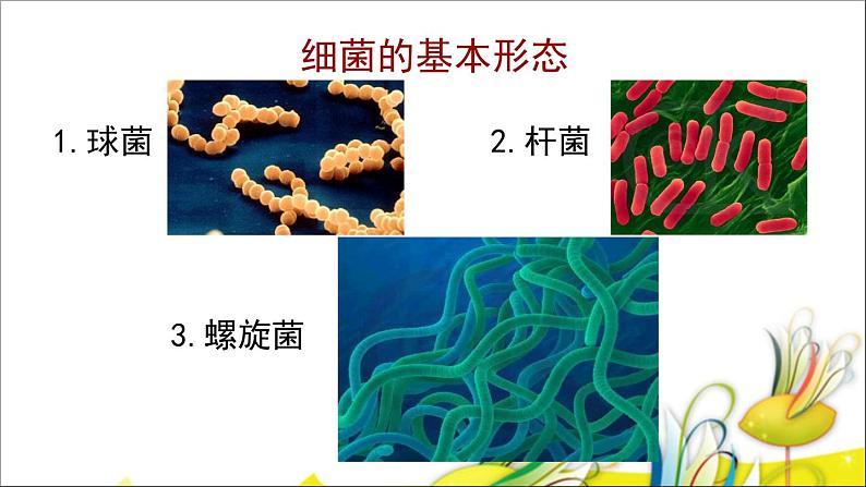 1.2 做酸奶（9）（课件）科学六年级上册-苏教版05