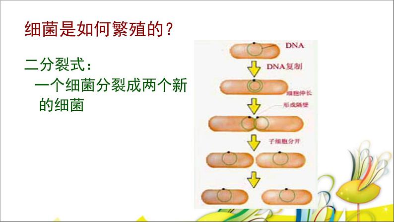 1.2 做酸奶（9）（课件）科学六年级上册-苏教版07