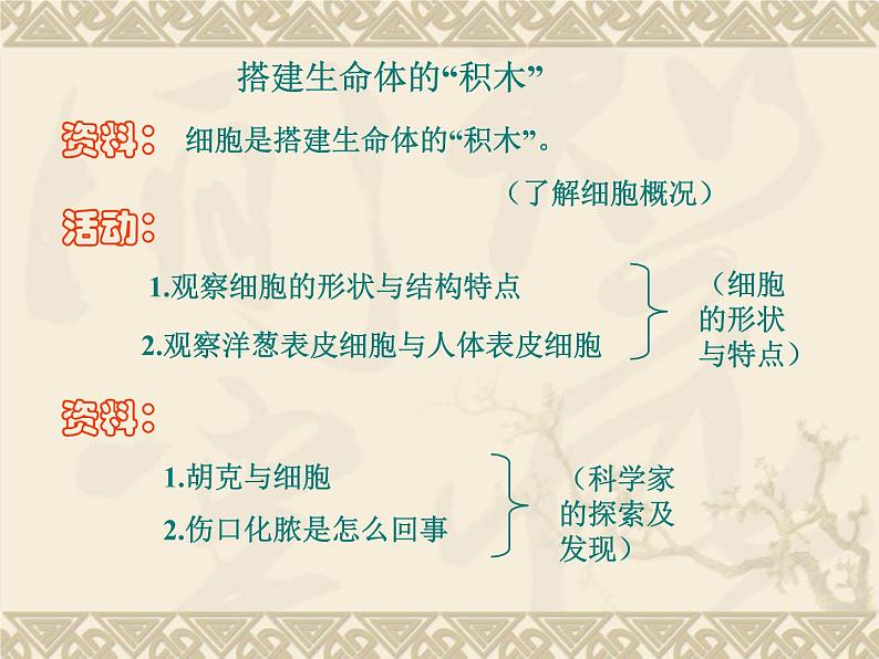 1.4 搭建生命体的“积木”（9）（课件）科学六年级上册-苏教版第2页