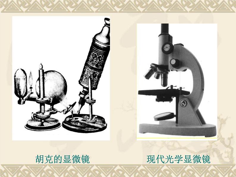 1.4 搭建生命体的“积木”（9）（课件）科学六年级上册-苏教版第7页