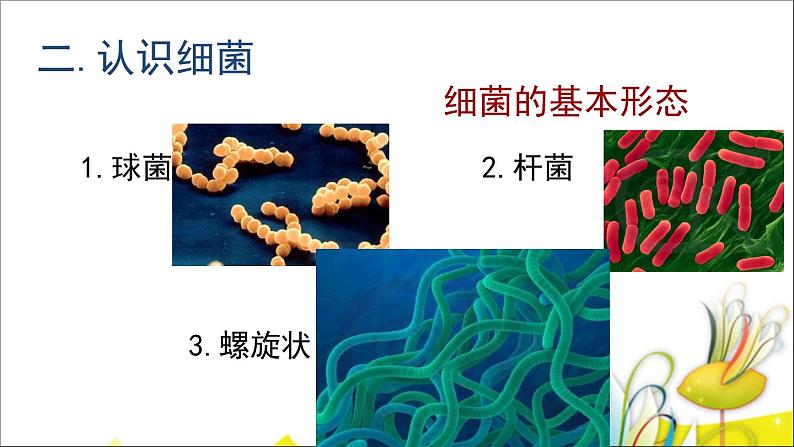 1.2 做酸奶（7）（课件）科学六年级上册-苏教版08