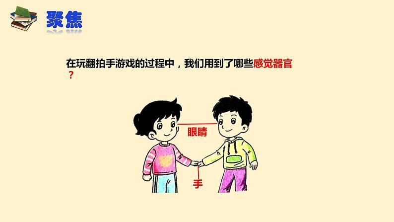 教科版二年级科学下册测试反应快慢课件第3页