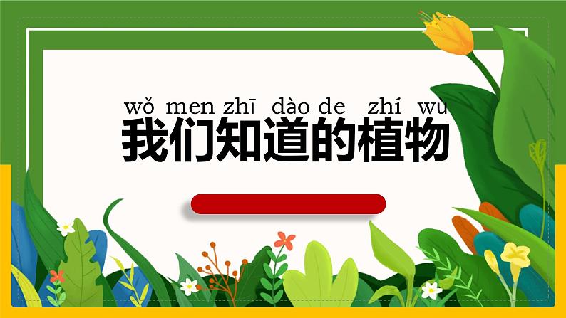 教科版科学一年级上册 1.1我们知道的植物 课件01