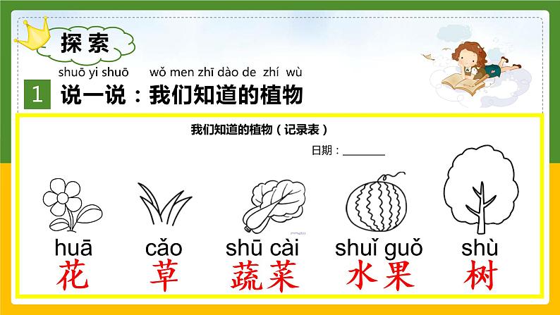 教科版科学一年级上册 1.1我们知道的植物 课件03