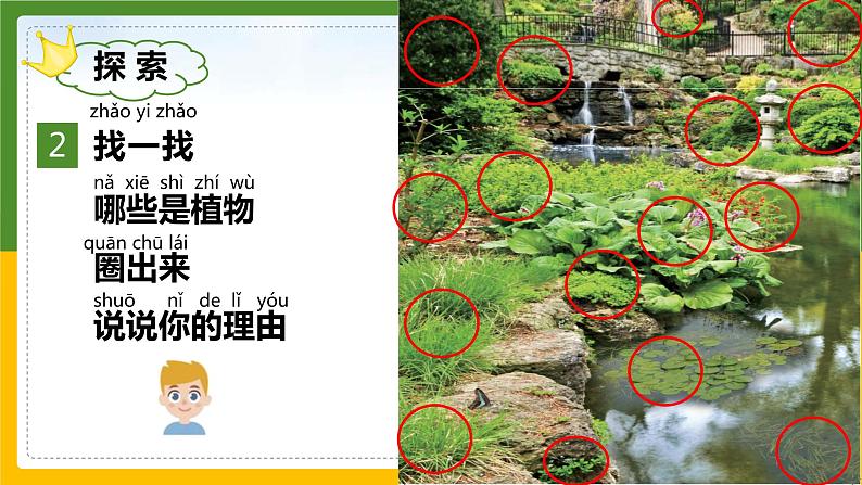 教科版科学一年级上册 1.1我们知道的植物 课件04