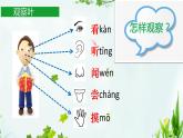 教科版科学一年级上册 观察叶课件