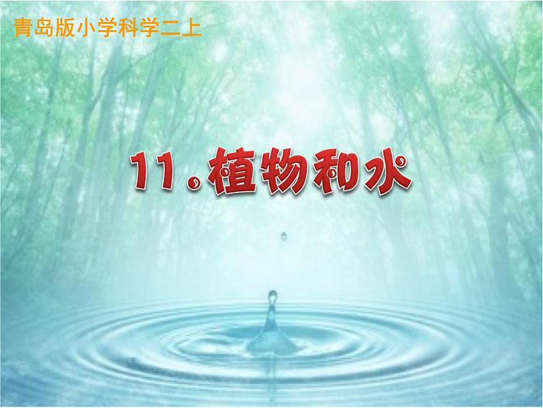 青岛版（五四制）科学二年级上册11.植物和水教学课件01