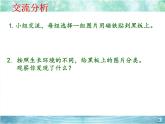 青岛版（五四制）科学二年级上册11.植物和水教学课件