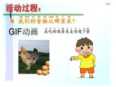 青岛版（五四制）科学二年级上册12《我们的食物》教学课件