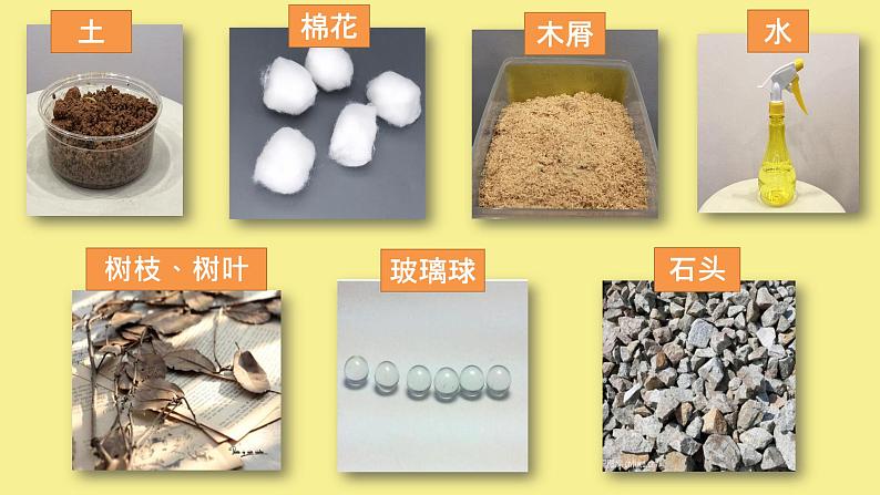 教科版一年级科学下册给动物建个“家”课件第5页