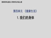 教科版（2017秋）科学五年级上册4.1我们的身体（课件）