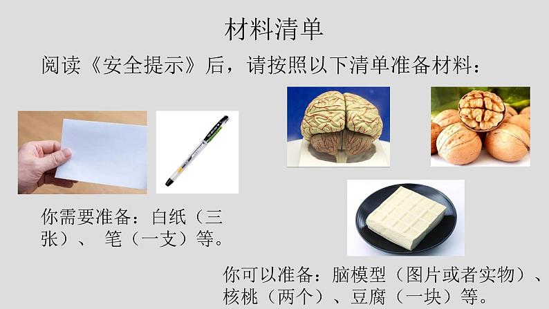 教科版（2017秋）科学五年级上册4.4身体的“总指挥”（课件）02