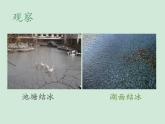 教科版科学三年级上册1.3水结冰了课件