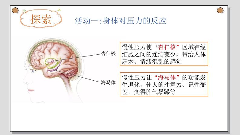 教科版（2017秋）科学五年级上册4.6学会管理和控制自己（课件）04