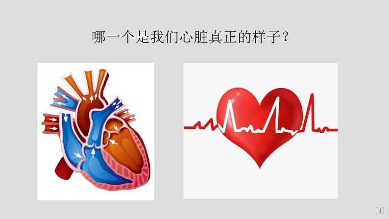 教科版（2017秋）科学五年级上册4.3心脏和血液（课件）第6页