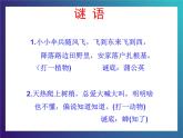 1.2《猜对了吗》 大象版三下科学课件