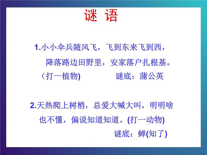 1.2《猜对了吗》 大象版三下科学课件第2页