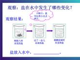 4.1《把盐藏起来》大象版三下科学课件