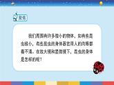 1.3《观察身边微小的物体》课件+教案