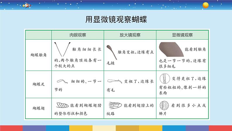 1.3《观察身边微小的物体》课件+教案07