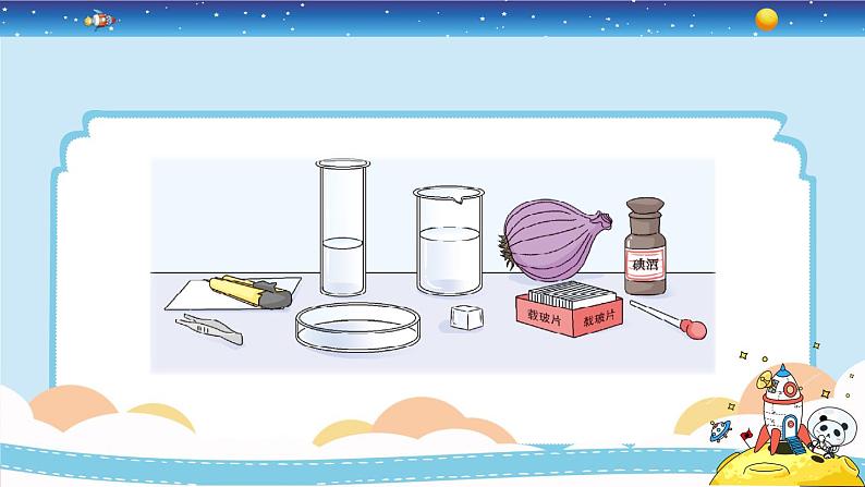 1.4《观察洋葱表皮细胞》教学PPT第5页