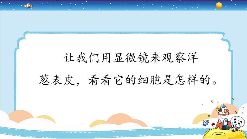 1.4《观察洋葱表皮细胞》教学PPT第6页