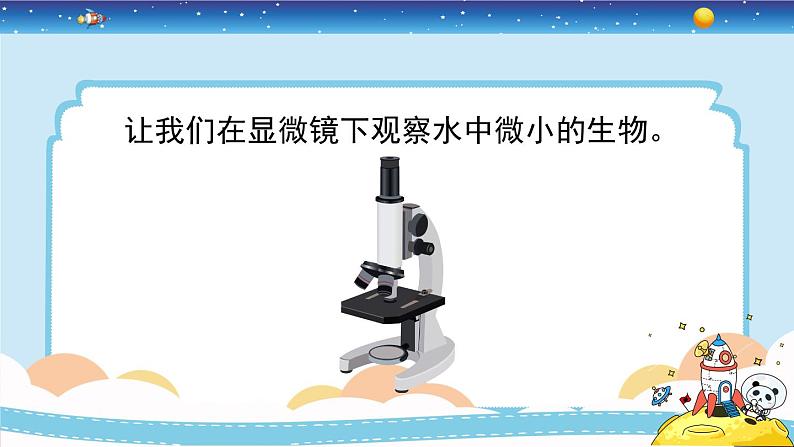 1.6《观察水中微小的生物》教学PPT第5页