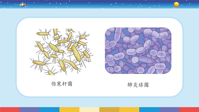 1.7《微生物与健康》课件+教案06