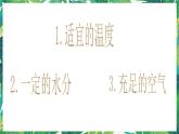 3.1《种子发芽了》课件+教案+练习