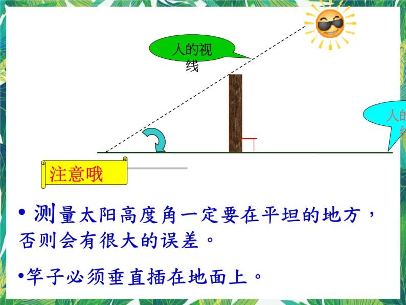 4.2《 太阳，我们的朋友》课件+练习06