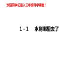 教科版科学三年级上册1.1水到哪里去了（课件）