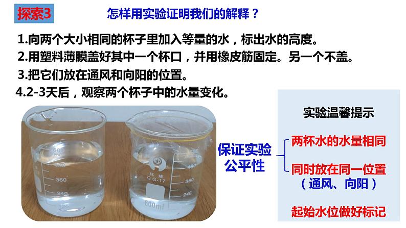 教科版科学三年级上册1.1水到哪里去了（课件）05