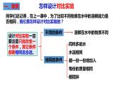 教科版科学三年级上册1.6加快溶解（课件）