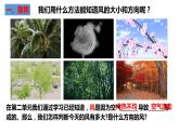 觀測風(fēng)PPT課件免費下載