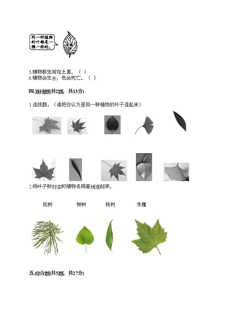 教科版科学一年级上册第一单元《植物》测试卷必考题第3页