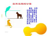 1.2《假如我们是》课件+教案+练习