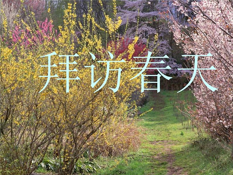1.2《探访春天》课件+练习03