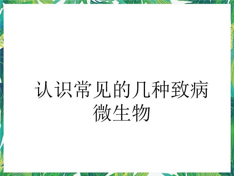 5.3《微生物的危害》课件+教案+练习03