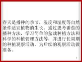 1.1种番茄 课件