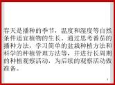 1.1种番茄 课件